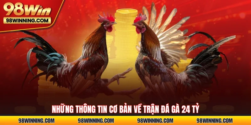 Những thông tin cơ bản về trận đá gà 24 tỷ